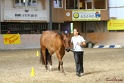 24-ApHC HIH_076